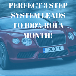 PERFECT 3 STEP SYSTEM LEADS TO 100% ROI A MONTH